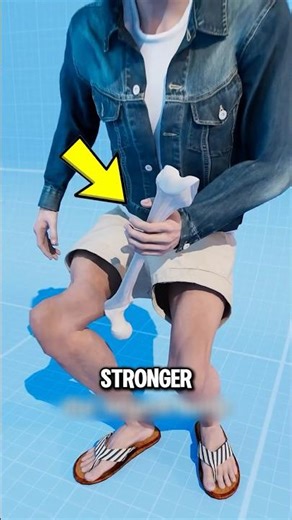 The Reason Human Bones Are Stronger Than You Think
