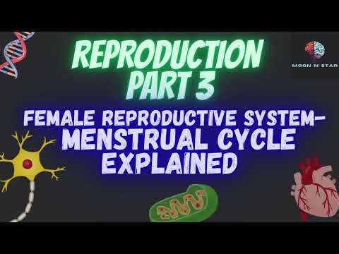 REPRODUCTION PART 3- MENSTRUAL CYCLE| SHORT LECTURE SERIES| IGCSE Biology