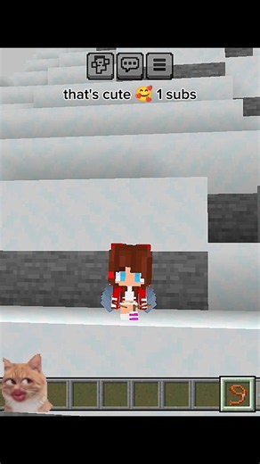Minecraft POI POI Secret 🤫 #Minecraft #Secret #Viral