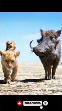 simba and pumbe timun The lion King #shortsfeed #trending #thelionking