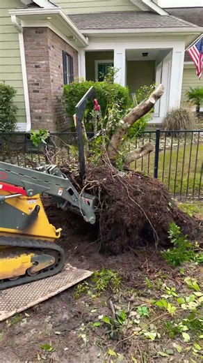 wacker neuson sm60 pulling bushes