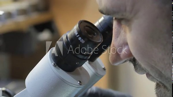 look through the microscope. The doctor looks through the microscope. A scientist looks through a microscope. The master in the service center looks in a microscope