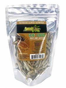 Iso Grub - Freeze Dried Minnows Isopod Food Isopods Bioactive - Etsy