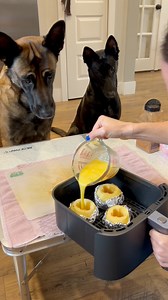 1.1M views · 30K reactions | Dogs Love Stuffed Apples #dogmom #doglover #dogtreat #BelgianMalinois #smartdog (Yes, I should’ve used parchment Paper over aluminum foil but that’s all I had at the time) You can get this recipe card in my Etsy store! | Neu County | Facebook