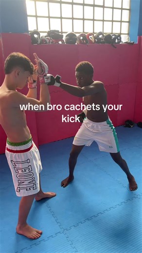 MMA Fighter Highlights: Epic Kick Moments