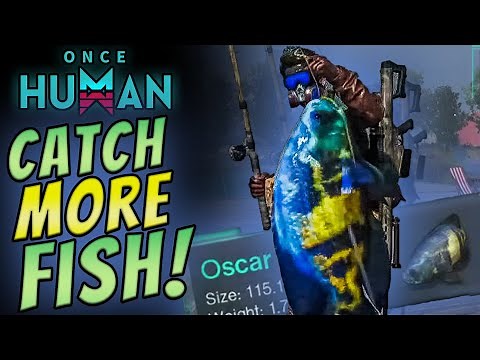 Once Human Fishing 101 - Catch MORE Fish!