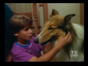 The New Lassie (Season 1 Eps.23)
