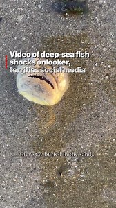 New fear unlocked. | New York Post Health & Parenting