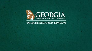 410 reactions · 33 shares | Before you throw out a cast, make sure you have an active license. | Wildlife Resources Division - Georgia DNR | Facebook
