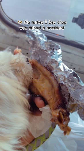 NAILS TECH IN ASABA (@zeeno_pamela46)’s videos with original sound - 🪤༒𝔦𝔵_𝔖𝔭𝔦𝔡𝔞ꔇℜ𝔢𝔞𝔩༒ッ🪤