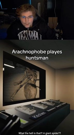 Arachnophobe plays spider horror game