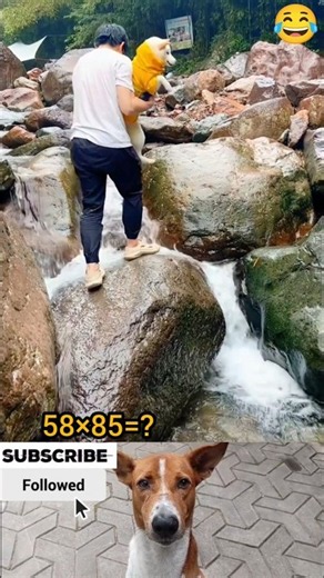Funny Fall 🤣🤣🤣 #foryou #funny #funnyvideo #viral #fypシ #funnymoments #usa