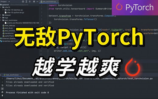 【PyTorch深度学习】8小时入门到进阶！环境安装+原理详解+项目实战，迪哥手把手带你从零吃透pytorch框架！