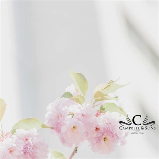 We celebrate the life and memory of Mrs. Meosha Scott Celebration of Life Services will be held on Saturday, December 13, 2025 at 1:00pm at Coastal Cathedral Church of God 275 Berwick Blvd. Savannah, GA 31419. Interment ~ Magnolia Memorial Gardens 5532 Silk Hope Road Savannah, GA 31405. | Campbell & Sons Funeral Home