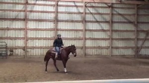 Here is Mustang Takoda's 1 week progress video! Watch him working bridleless and at liberty with Madison & her other mustangs as they prepare for the 2016 LA Extreme Mustang Makeover! (Best if viewed in HD) | Mustang Maddy