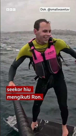 Dikejar hiu saat surfing #shorts