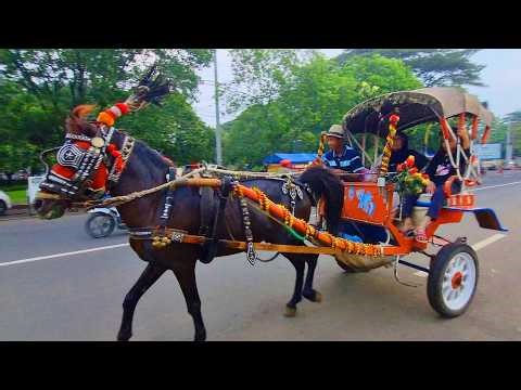 NAIK KUDA DELMAN ~ ONDEL ONDEL ~ BADUT LUCU ~ BALONKU ADA LIMA ~ SELAMAT ULANG TAHUN - BANGUN TIDUR