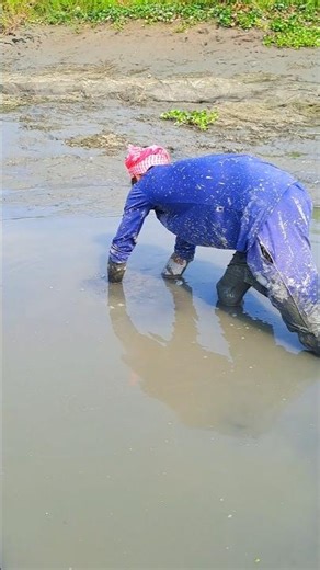 wow amazing hands hornfishing in mud water s #fishing