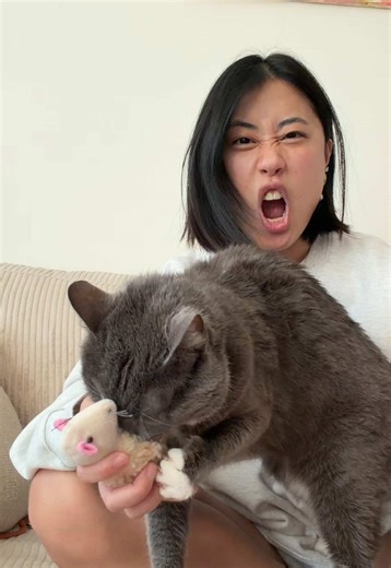 Renaming My Cat to Maple Syrup