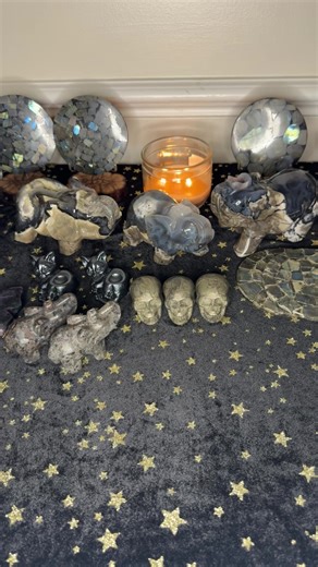 Practical Magic Store on Reels