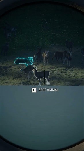 FACT or FAKE: Same Diamond Rate for Everyone? 💎#shorts