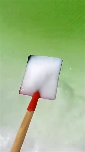 Why is the ocean salty? 🌊🧂