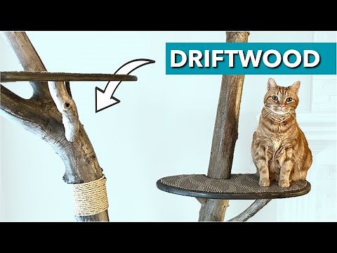 Ultimate DIY Cat ‘Tree’, Tree