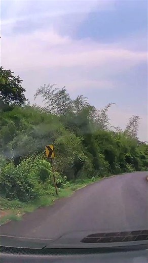 Coorg Local Roads and Nature Drives | Highway Flow Pov Scene