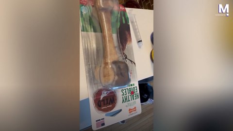 Live mouse found inside sealed dog treat packet