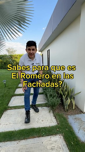 2.9M views · 10K reactions | Sabes para que sirve el Romero en las fachadas | Roberson Olaya | Facebook