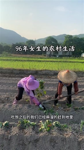 夏日的乡村里和阿妈一起种番薯。 | 潮州文化 Teochew Culture