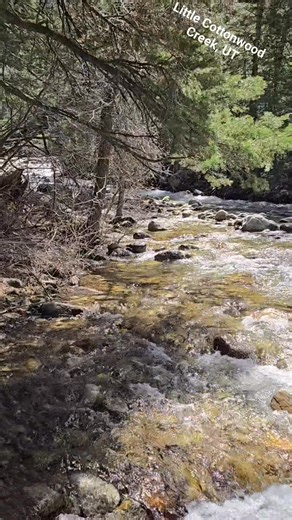 Little Cottonwood Creek is a valuable water source for Salt Lake Valley residents. | Nature Heals the Soul