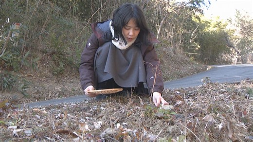 【特集】リアルに「道草を食う」女性　身近な植物の魅力を伝える活動　岡山 | KSBニュース | KSB瀬戸内海放送