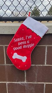 Watch our pups celebrate the holidays by picking out their very own toys. There’s nothing sweeter than wagging tails, curious sniffs, and the pure joy of choosing the perfect toy. These fun moments bring a little extra sparkle to their day (and ours). Seeing each dog’s personality shine during this holiday tradition is one of our favorite parts of the season! Curious who is available for adoption? Marge – first in the video (spayed female, grey American Staffordshire Terrier) Bradley – second in