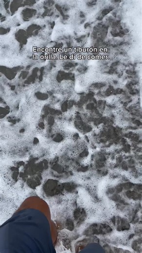 Si no lo grababa, nadie me creía. #humor #halloween #koa #doglover | Arnold Ramos Neyra