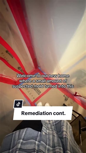 Mold Remediation Journey in Our New Home