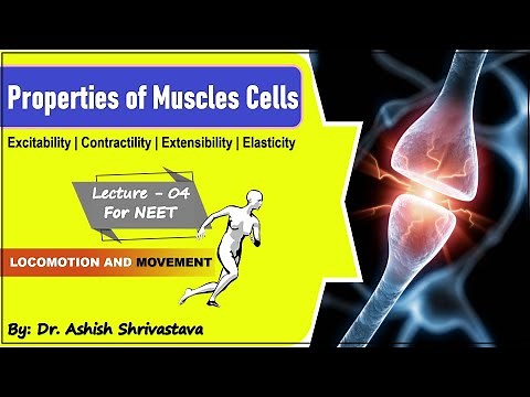 Properties of Muscle Cells | Excitability | Contractility | Extensibility | Elasticity | NEET