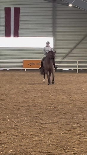 Indoor Horse Riding Showcase with Klara Mjöller