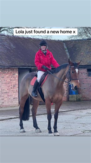 What a beautiful testimonial I’ve just received ❤️ I’d love to say a huge thank you for helping find my dream horse. Jasmine was supportive throughout the process, and her staff were very helpful. Nothing was too much trouble, and buying Lola was very easy and stress free. It is true that some people who ‘deal’ with horses are not honest or trustworthy but this simply is not the case with horsestableyard. I would recommend them to anyone. Best wishes , Nancy and Gartmore Spring Rose (Lola) #hors