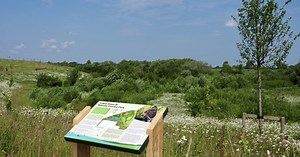 The vital role of Green Infrastructure in Logistics Parks