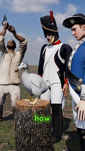 707K views · 5.4K reactions | How did dodo go extinct | Clipmind | Facebook