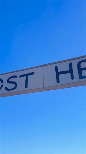 If you haven't experienced a day of fun, food, and family at the farm, we hope you get to come next year to see the magic! ❤️ It's about more than just a corn maze; it's about making a whole day of it: tractor rides, petting the animals, racing on the pedal karts, and of course, those fresh, warm donuts! 😋 It's a place for every age to enjoy. We can't wait to see you next fall! Don't forget we have our Christmas tree farm opening the end of next month. Plus, tulip and sunflower festival next ye