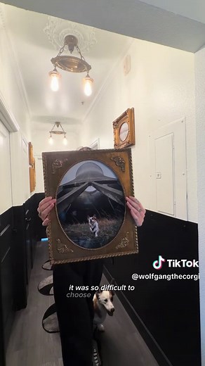 Crown Molding and Ceiling Medallions Installation