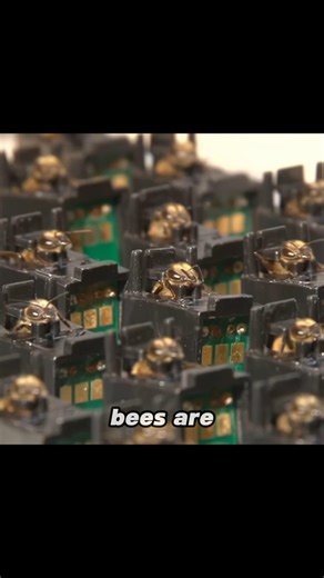 How BEES smell for EXPLOSIVES 👨‍🚒🔥#shorts #bees #explosive