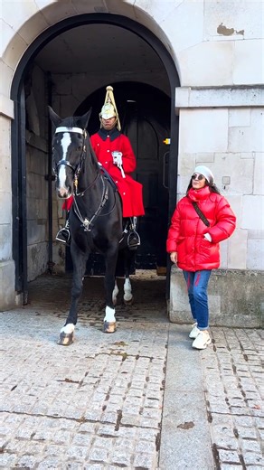 Matching Colour with the Guard ______________ #kingsguard #londonwalk #kingsguard #horseguardsparade #kingsguard #horseguardsparade #londonwalk #thekingsguard #kingsguard #horseguardsparade #londonwalk #horseworld #horseking #video #viralreels #like #typography #bestshot #videoediting #reelsinsta #reelsinstagram #realationships #videos #marwar #liketime #videography #lovenatural #lovenature #lovefect #horsework | Guard of London