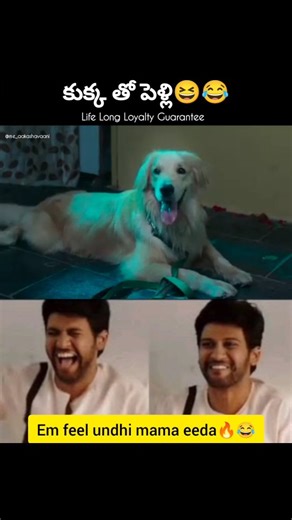me_aakashavaani💗| Reality video's on Instagram: "Pelli kani friends Andhariki share cheseddam😂 (Dog, wife, laugh, kukka, fun , job, work ) #hashtag #dog #loyal #girlfriend #marriage"