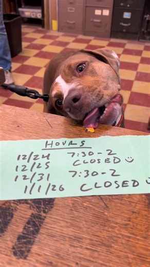 Here’s how we’re doing Christmas and New Year’s🎄🥂 | Belle Mead Co-Op