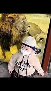 It's very dangerous moments | Funny Videos