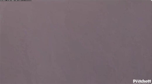 272K views · 6.7K reactions | Great views of the egg hatching this morning! Visible is the egg tooth and baby chick chirping inside. Now is the best time to tune in and watch the hatch process unfold: swfleaglecam.com or https://www.youtube.com/@SouthwestFloridaEagleCam | Southwest Florida Eagle Cam | Facebook