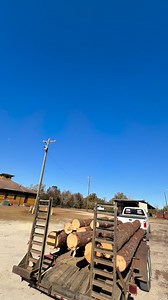 Jackson LAWN Maintenance on Reels